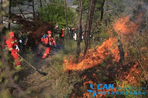 云南玉溪森林火灾烧到昆明境内 解放军官兵紧急救援