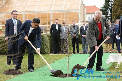 中国国家主席习近平同捷克总统泽曼举行会晤