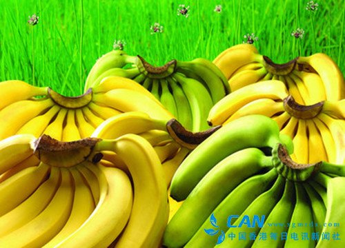 为何男人应该多吃香蕉
