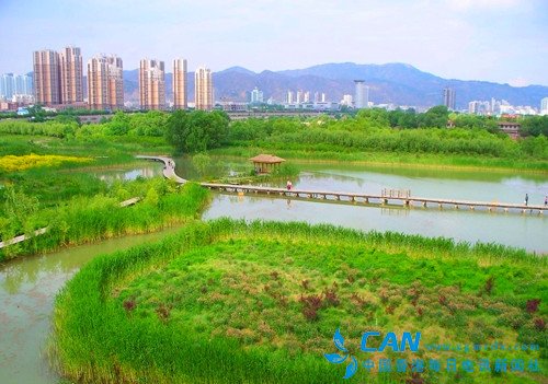 “走一带一路 探文博盛会”之秦王川国家级湿地公园