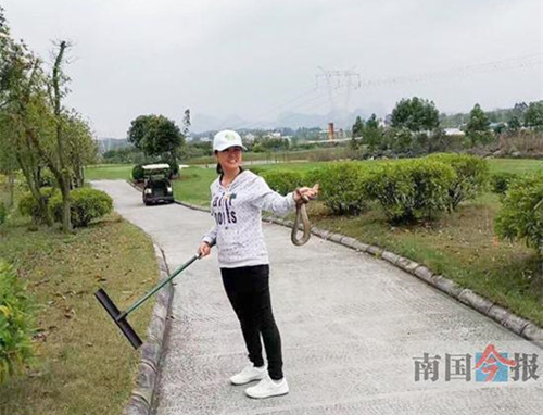 广西柳州：弱女子20多秒徒手降服眼镜蛇