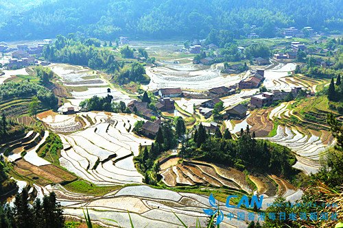湖南桂东发展乡村旅游带来“美丽经济”