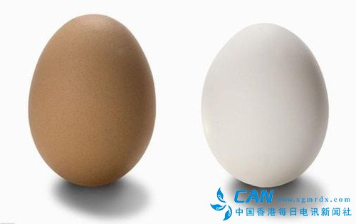 红皮鸡蛋和白皮鸡蛋吃哪个好呢？