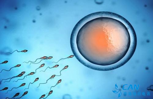 改变精子移动速度可控制后代性别