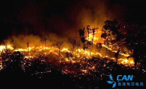 雨林大火持续不灭 南美七国呼吁携手保护亚马逊