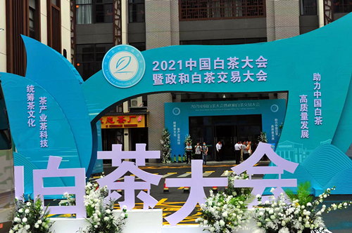 第二届中国白茶大会在福建政和开幕