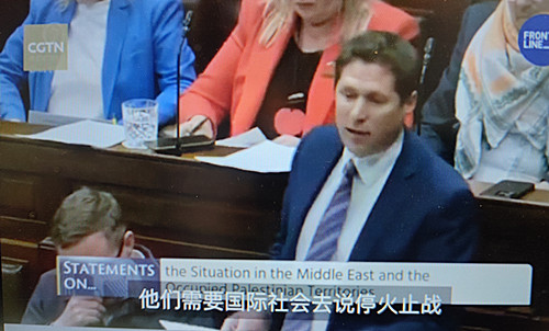 爱尔兰议员：我们听到过“巴勒斯坦有权自卫”吗？