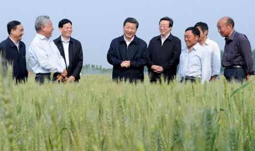 谁来养活中国？总书记给出坚定回答
