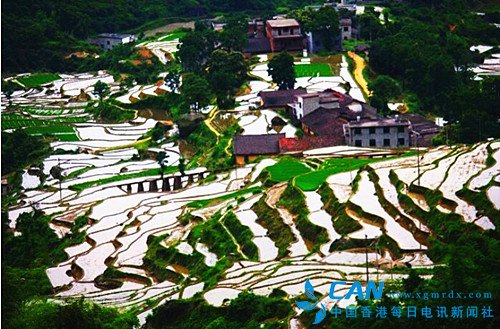 灵山梯田--独具特色的自然山水画卷