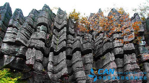 【乐享春天 品味恩施】采风活动十日启动