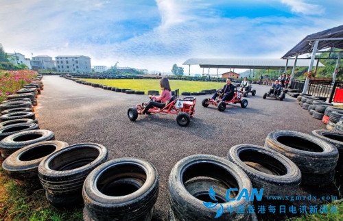 山水武宁美出新高度!60万株郁金香登上央视
