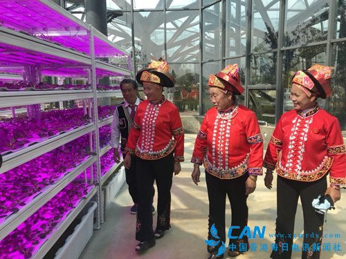 云南砚山:占地1500亩的中澳生态园喜迎八方宾客