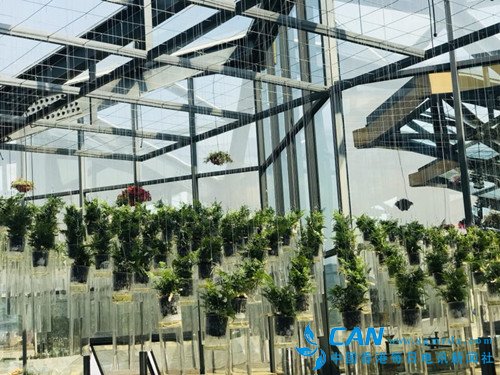 云南砚山:占地1500亩的中澳生态园喜迎八方宾客