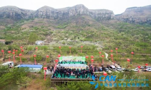 以会邀商,以节会友,打造节会名片展现平邑魅力