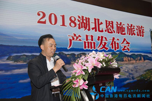 恩施旅游集团赴南京推介,秦淮河畔共谋发展机遇