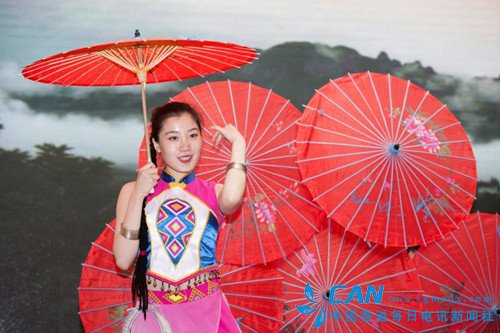 恩施旅游集团赴南京推介,秦淮河畔共谋发展机遇