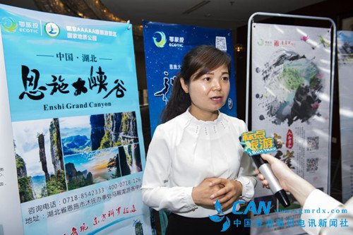 恩施旅游集团赴南京推介,秦淮河畔共谋发展机遇