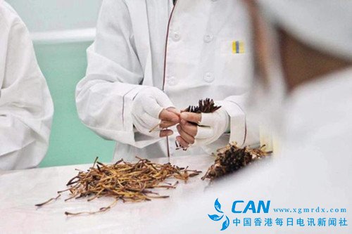 祁东:农货牵了电商手 脱贫路上快步走