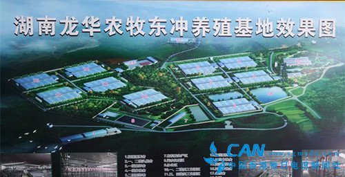 龙秋华的心愿:带动父老乡亲致富奔小康