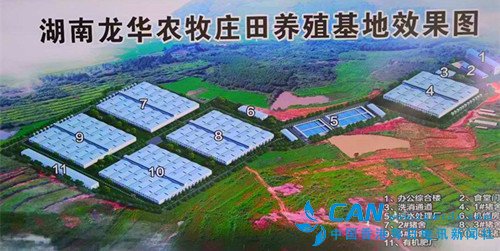 龙秋华的心愿:带动父老乡亲致富奔小康