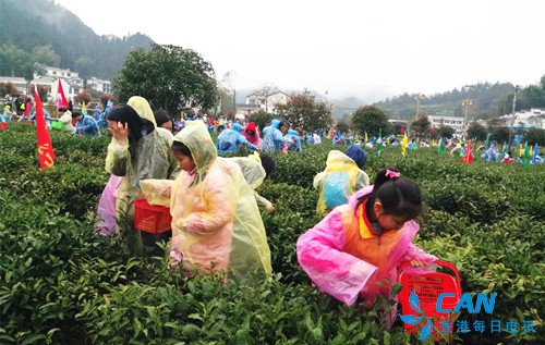 “千年茶旅、康养沩山”宁乡市举办沩山首届茶旅文化节