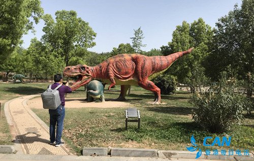 穿越亿万年时光!中原网络大咖走进西峡恐龙遗迹园