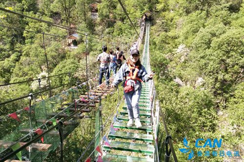 百名中原网络大咖走进西峡龙潭沟和五道幢