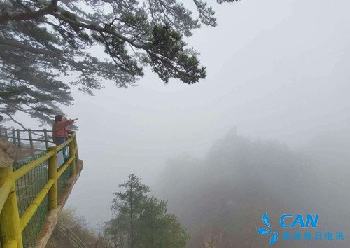 百名中原网络大咖走进老界岭景区