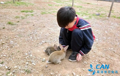 河南宜阳:香鹿山镇凤凰岭千亩槐花盛开