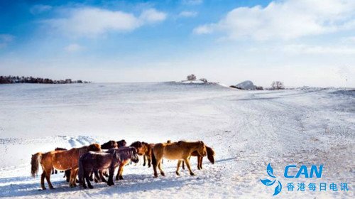 五月肃南 康乐草原飘起了雪