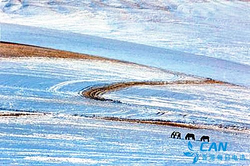 五月肃南 康乐草原飘起了雪