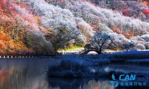 Shennongjia Scenic spot unveiled in Shanghai