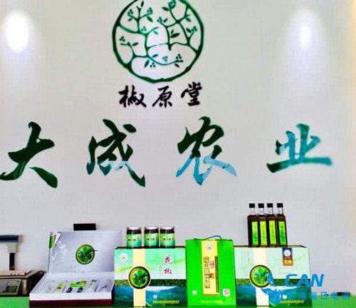 昭通大成农业携“调味品之王”亮相第二届农民丰收节