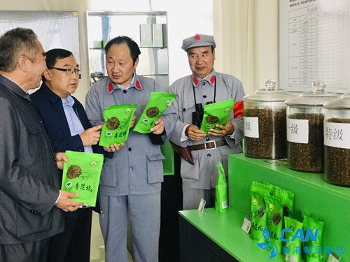 远牧携知名文艺家走进乌蒙大地 无人机助力昭通脱贫攻坚