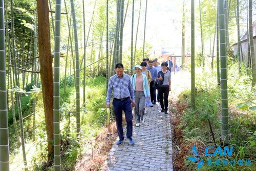 政和县星溪乡开展“不忘初心、牢记使命”主题教育