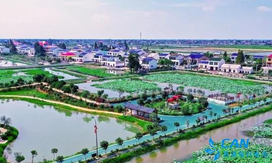 望城再出硬核举措,年内清零集体经济收入低于20万元的村