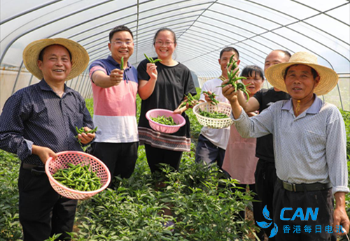长沙望城:凝聚志愿力量 助力脱贫攻坚