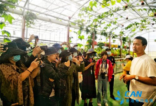 仁达枸杞种植专业合作社:脱贫路上齐步走