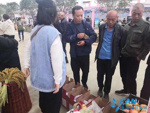 2020年“中国农民丰收节”洛阳市庆祝活动在宜阳县举行