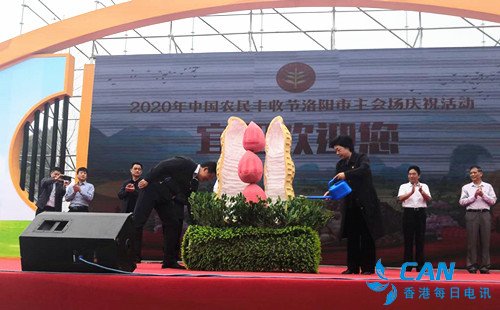 2020年“中国农民丰收节”洛阳市庆祝活动在宜阳县举行