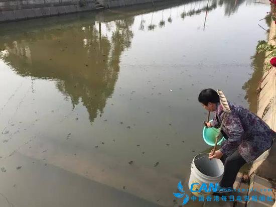 洞庭湖缺水，2015年11月，湖南省南县石坝村肖喜福老人家中面临的水质型缺水难题。地下水不能喝，只能到被污染的河沟里挑水喝。新华社记者周楠摄