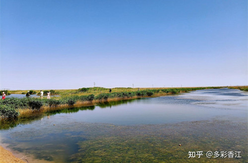 青土湖，民勤沙漠深处的生命绿洲