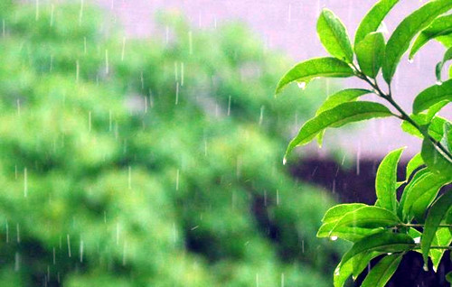 包头的雨