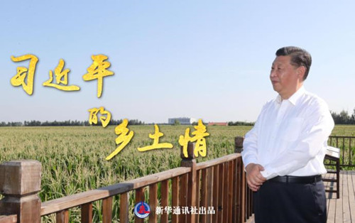 领悟总书记抓土地工作的系统思维