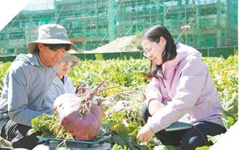 雪域高原 创新热土